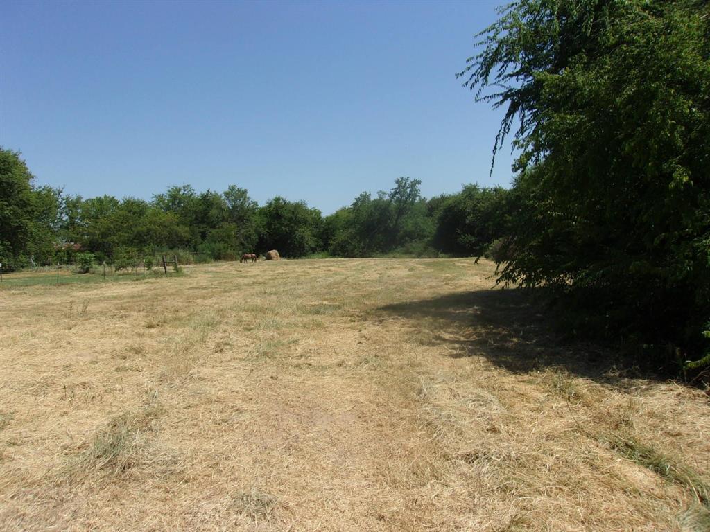 2846 County Road 2415 Como, TX 75431 - Photo 3 of 17 a view of a field with trees in the background