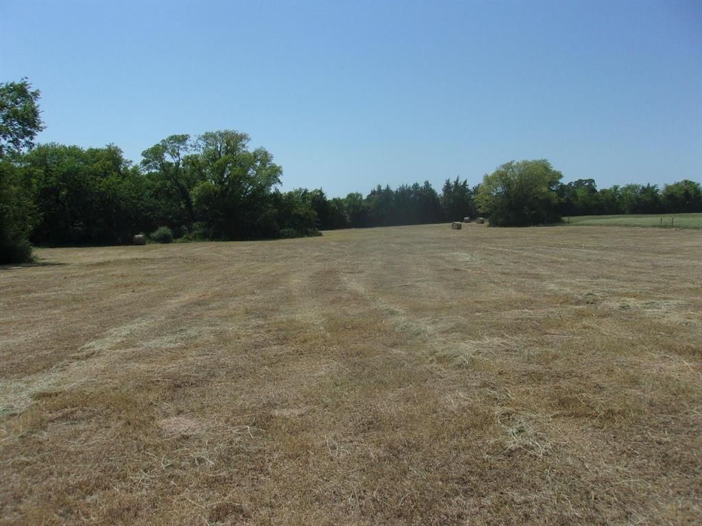 2846 County Road 2415 Como, TX 75431 - Photo 4 of 17 a view of a field with trees in the background