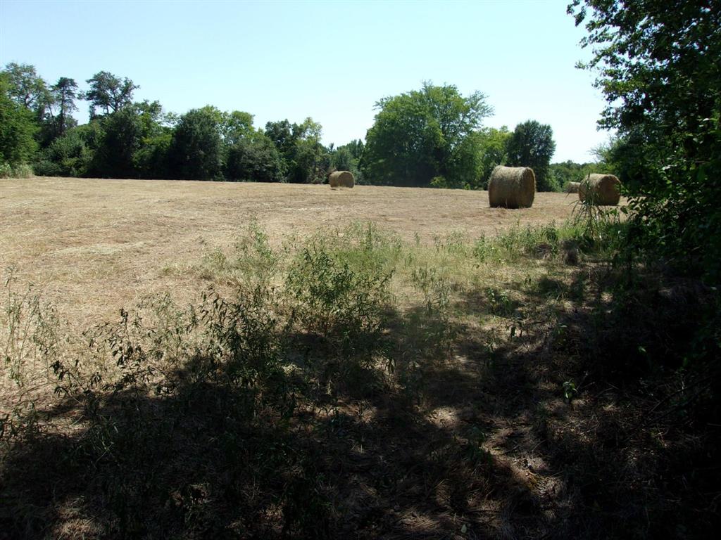2846 County Road 2415 Como, TX 75431 - Photo 5 of 17 a view of an outdoor space and a yard