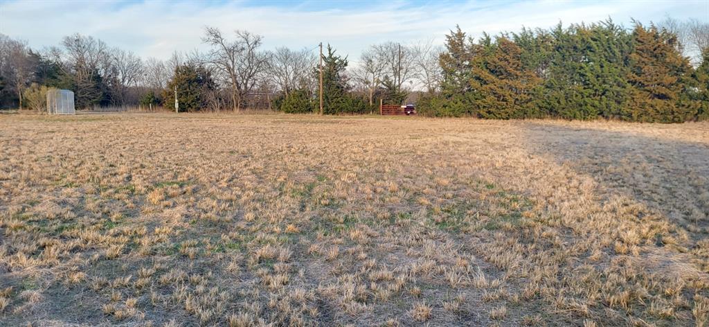 2846 County Road 2415 Como, TX 75431 - Photo 6 of 17 a view of dirt yard with trees