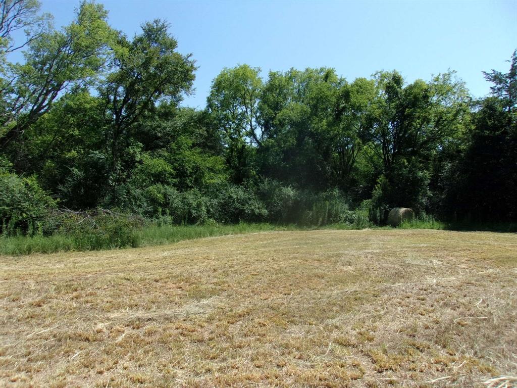 2846 County Road 2415 Como, TX 75431 - Photo 7 of 17 a view of a yard with a trees
