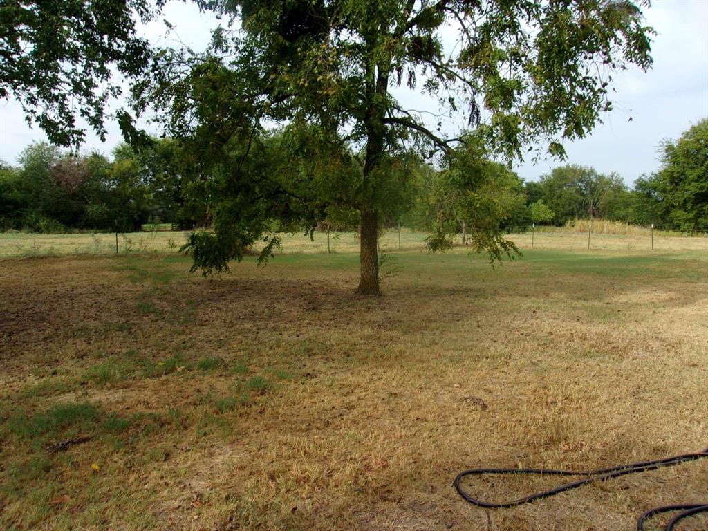 2846 County Road 2415 Como, TX 75431 - Photo 9 of 17 a backyard of a house with lots of green space