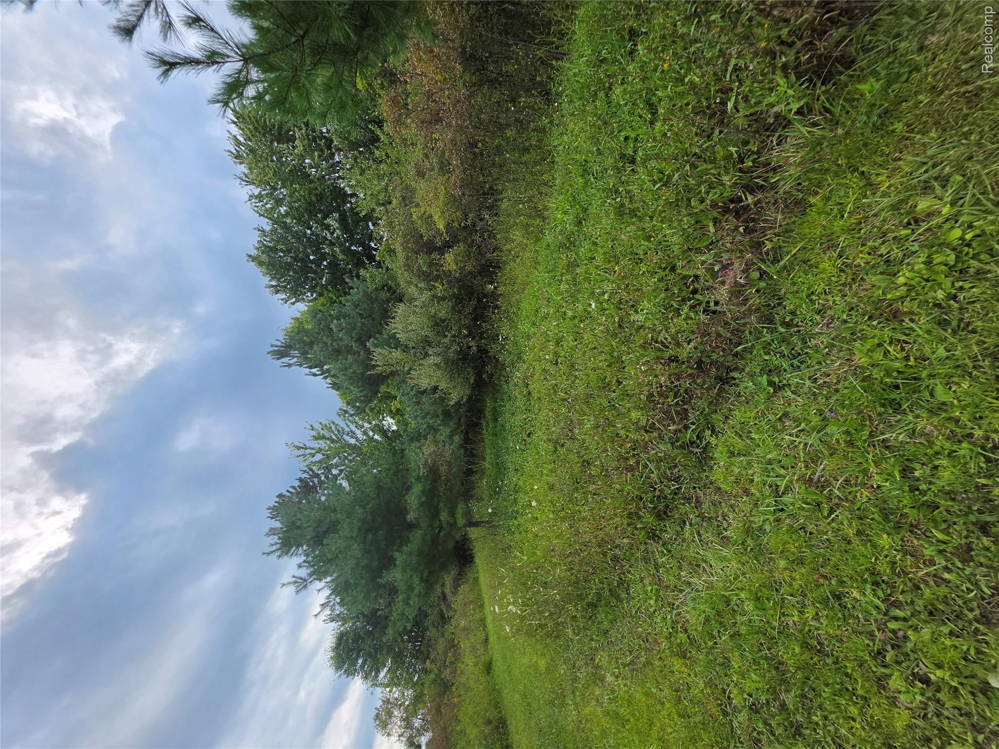 2611 Miller Road Allenton, MI 48002 - Photo 22 of 41 Food plot