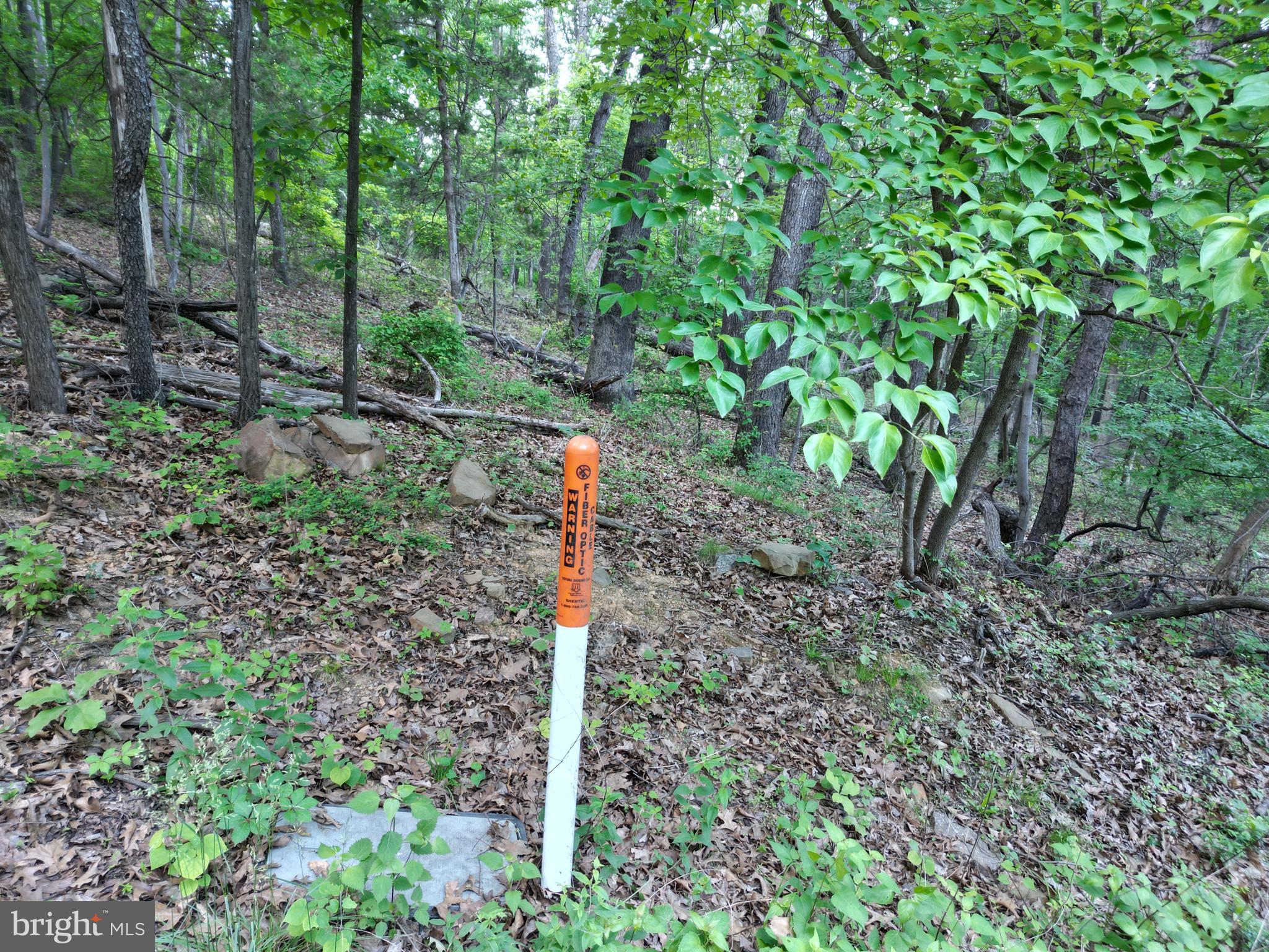 Tbd Rolly Road Mount Jackson, VA 22842 - Photo 17 of 20