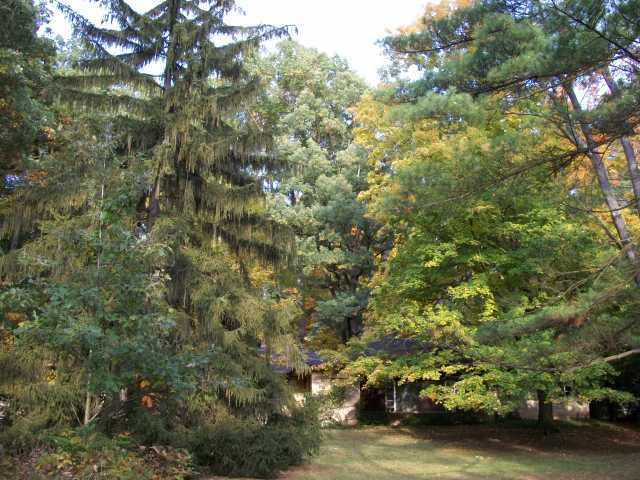 8400 Riverside Drive Powell, OH 43065 - Photo 4 of 6