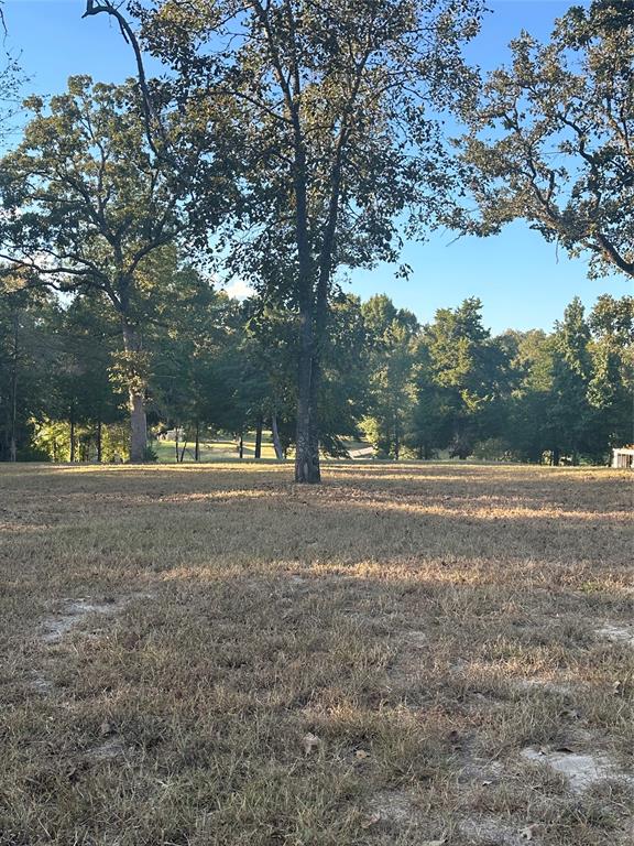 5331 Impala South Road Athens, TX 75752 - Photo 3 of 5 a view of dirt yard