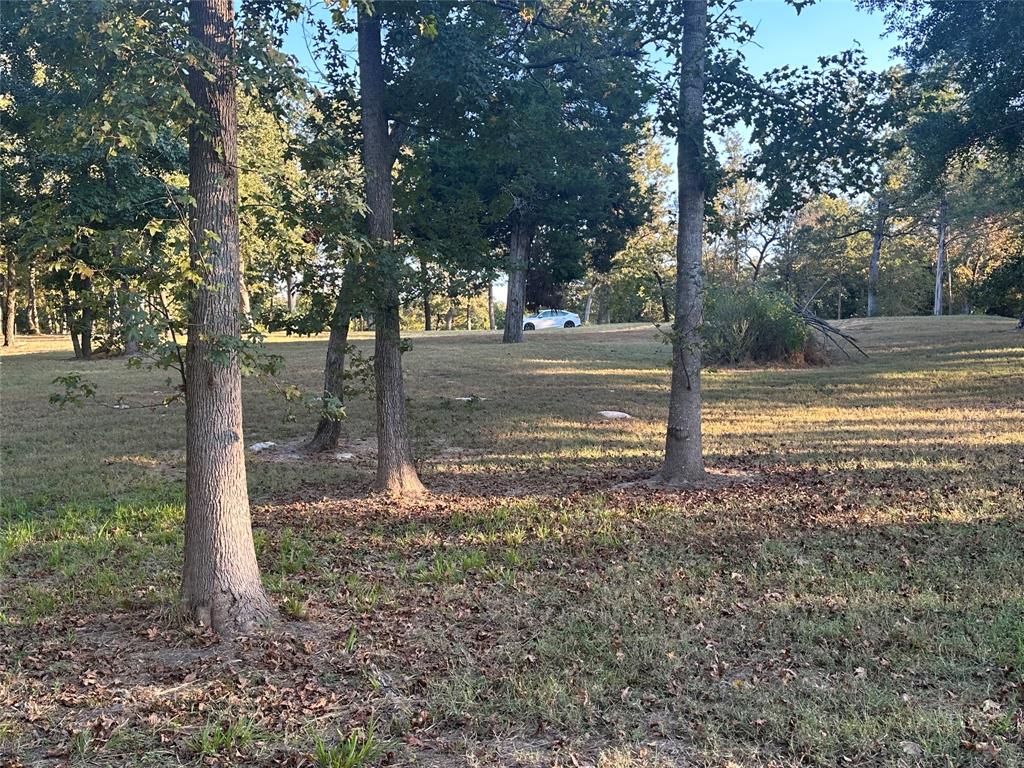5331 Impala South Road Athens, TX 75752 - Photo 5 of 5 a view of a yard with trees