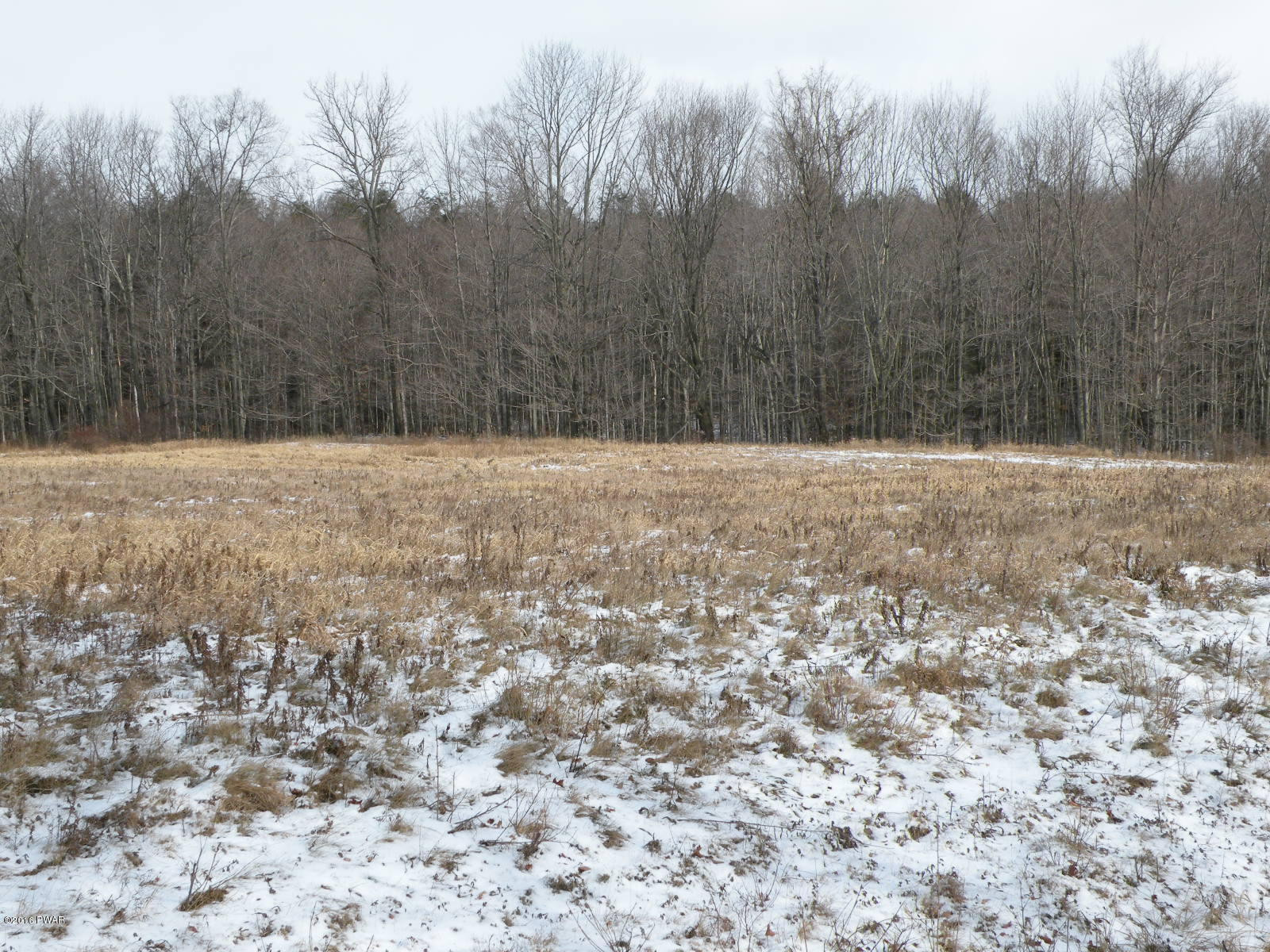 Lot 1 Butternut Road Sterling, PA 18463 - Photo 7 of 7