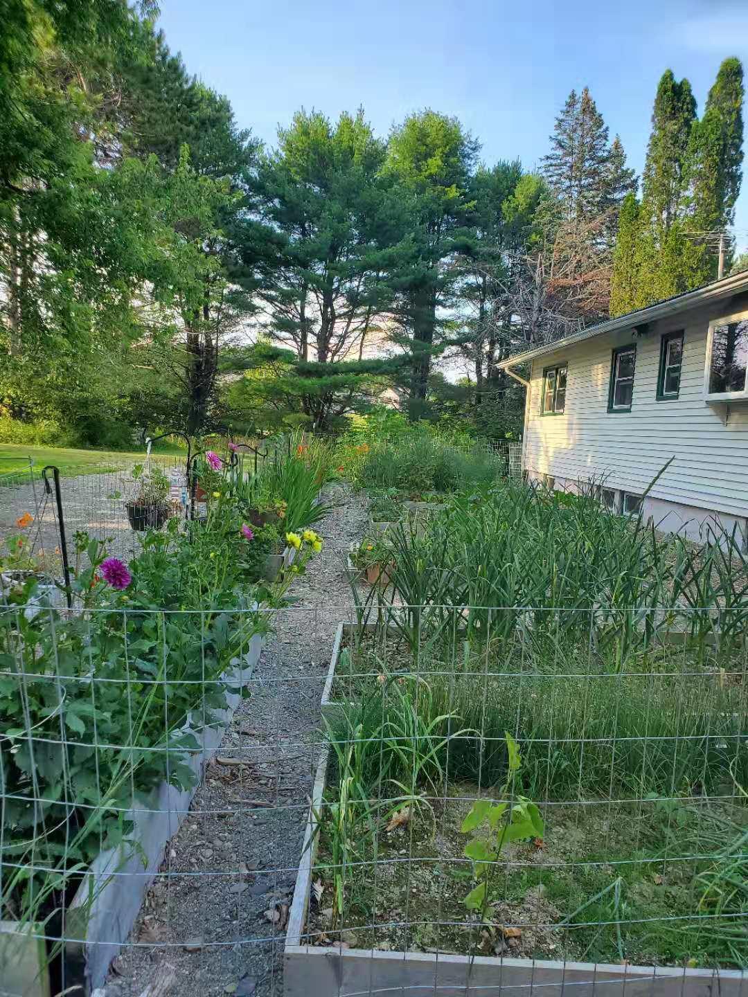412 Main Road South Hampden, ME 04444 - Photo 52 of 52 backyard garden