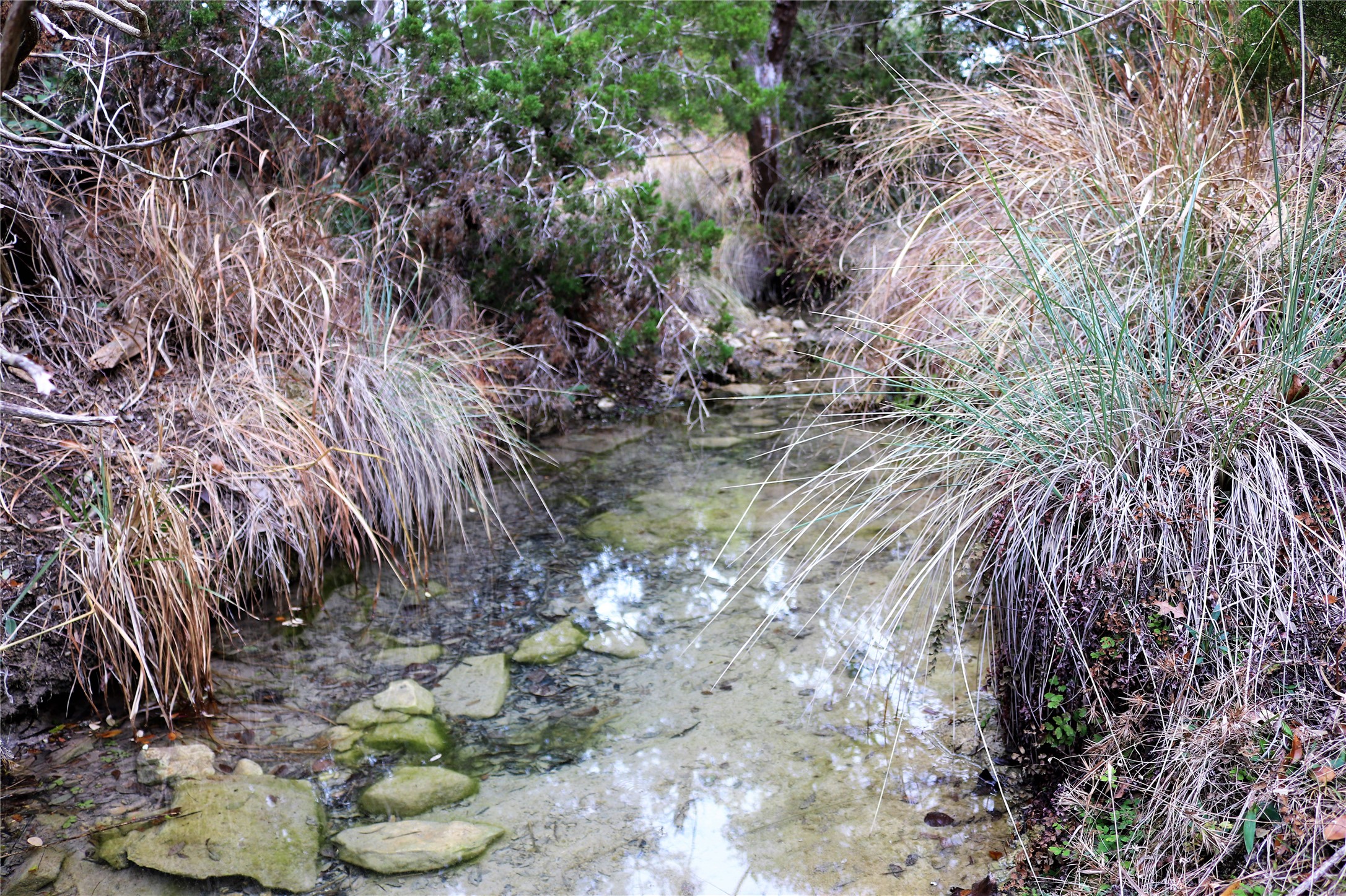 717 Bluff Ridge Trail Blanco, TX 78606 - Photo 16 of 21 Natural spring-fed creek with rock-strewn banks, winding through an untamed landscape.