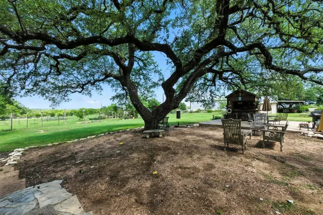 a view of a park with a tree