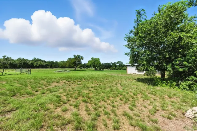 a view of a trees with a big yard