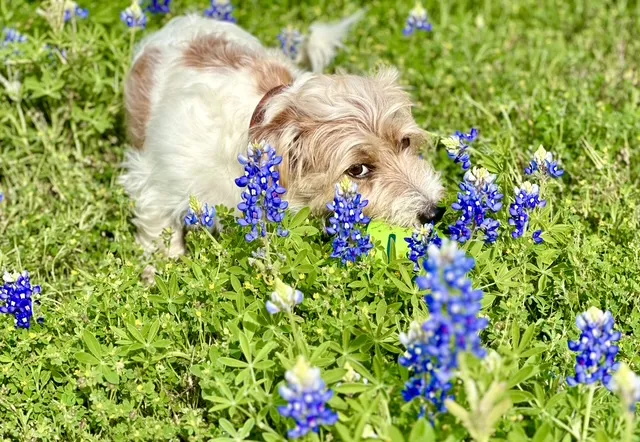 a view of lake view and mountain