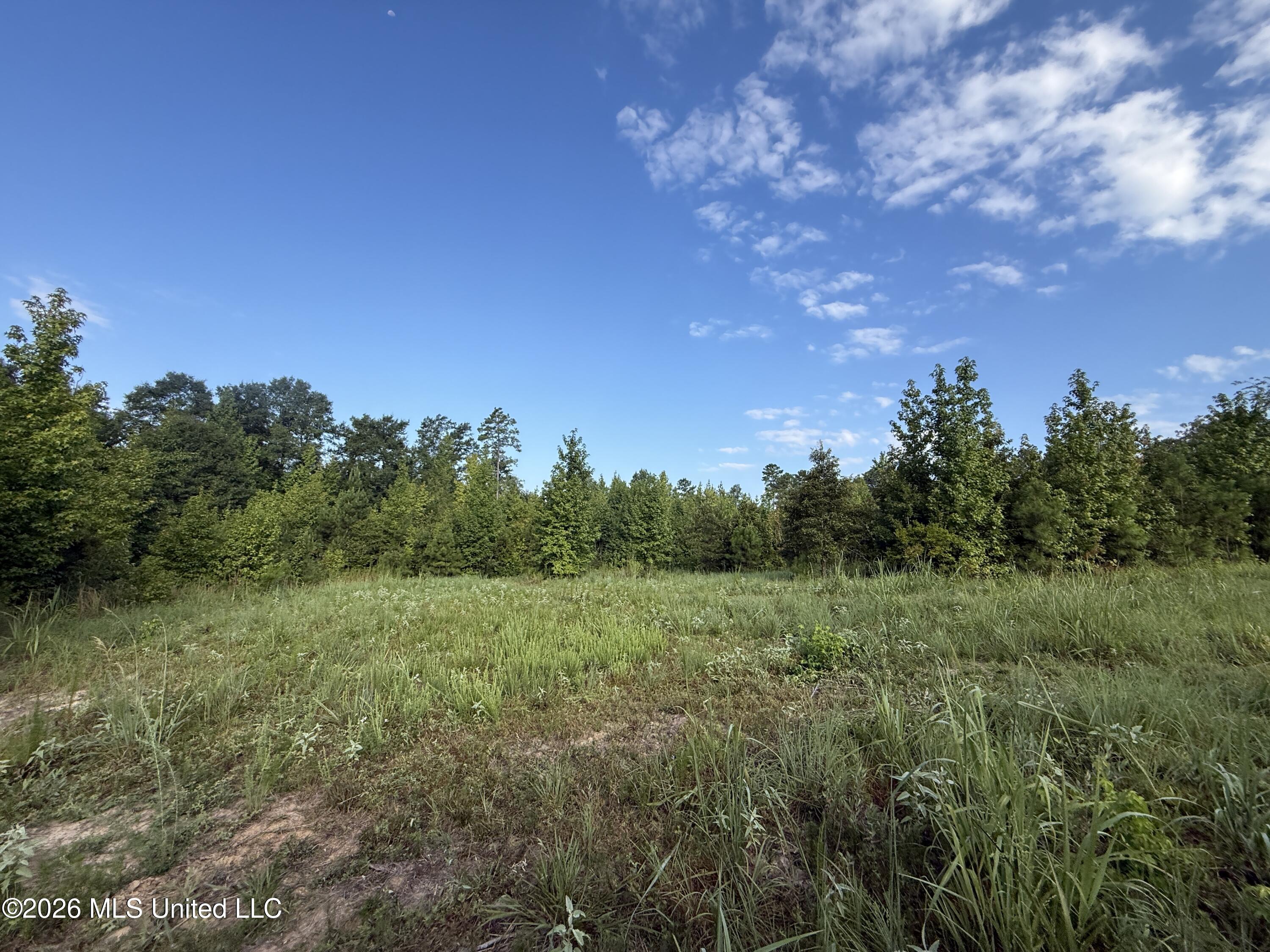 4102 Co Road Sallis, MS 39160 - Photo 15 of 35 IMG_7185