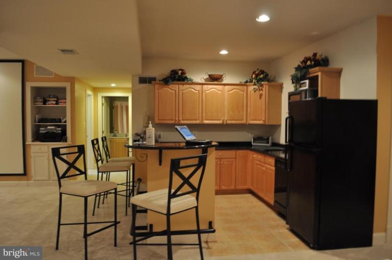 7020 Balmoral Forest Road Clifton, VA 20124 - Photo 17 of 18 Wet Bar