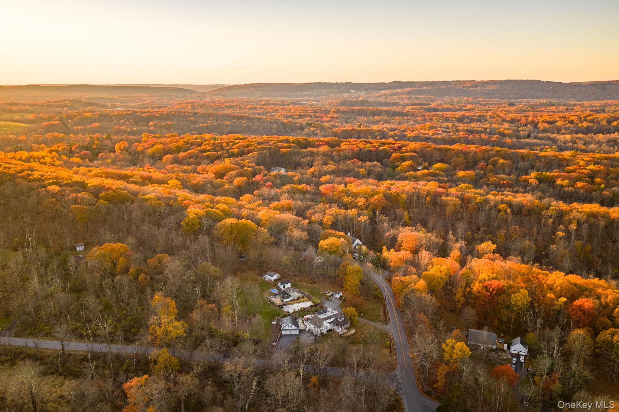 179 Reservoir Road Middletown, NY 10940 - Photo 49 of 50 Aerial view of a heavily wooded area