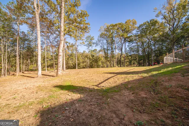 $725,000 | 19881 Highway 315, Waverly Hall, GA 31831