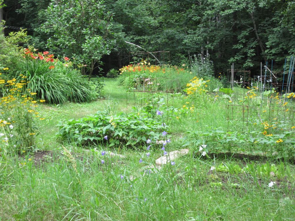 67 Nottingham Road Winthrop, ME 04364 - Photo 3 of 32 Photo