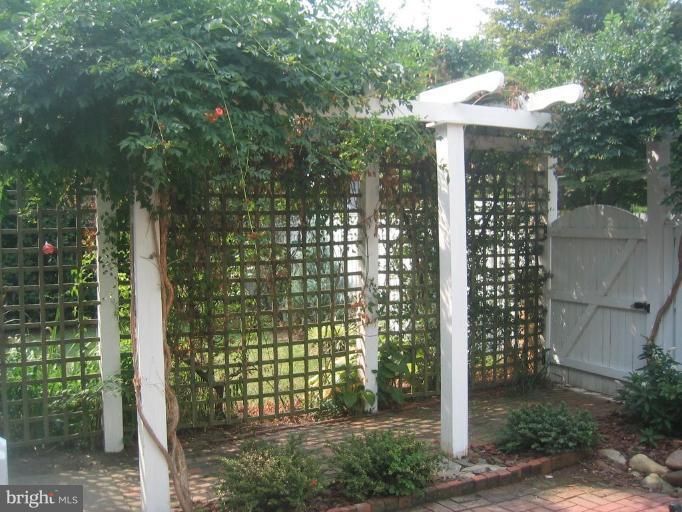 714 West Braddock Road Alexandria, VA 22302 - Photo 13 of 16 Garden #2
