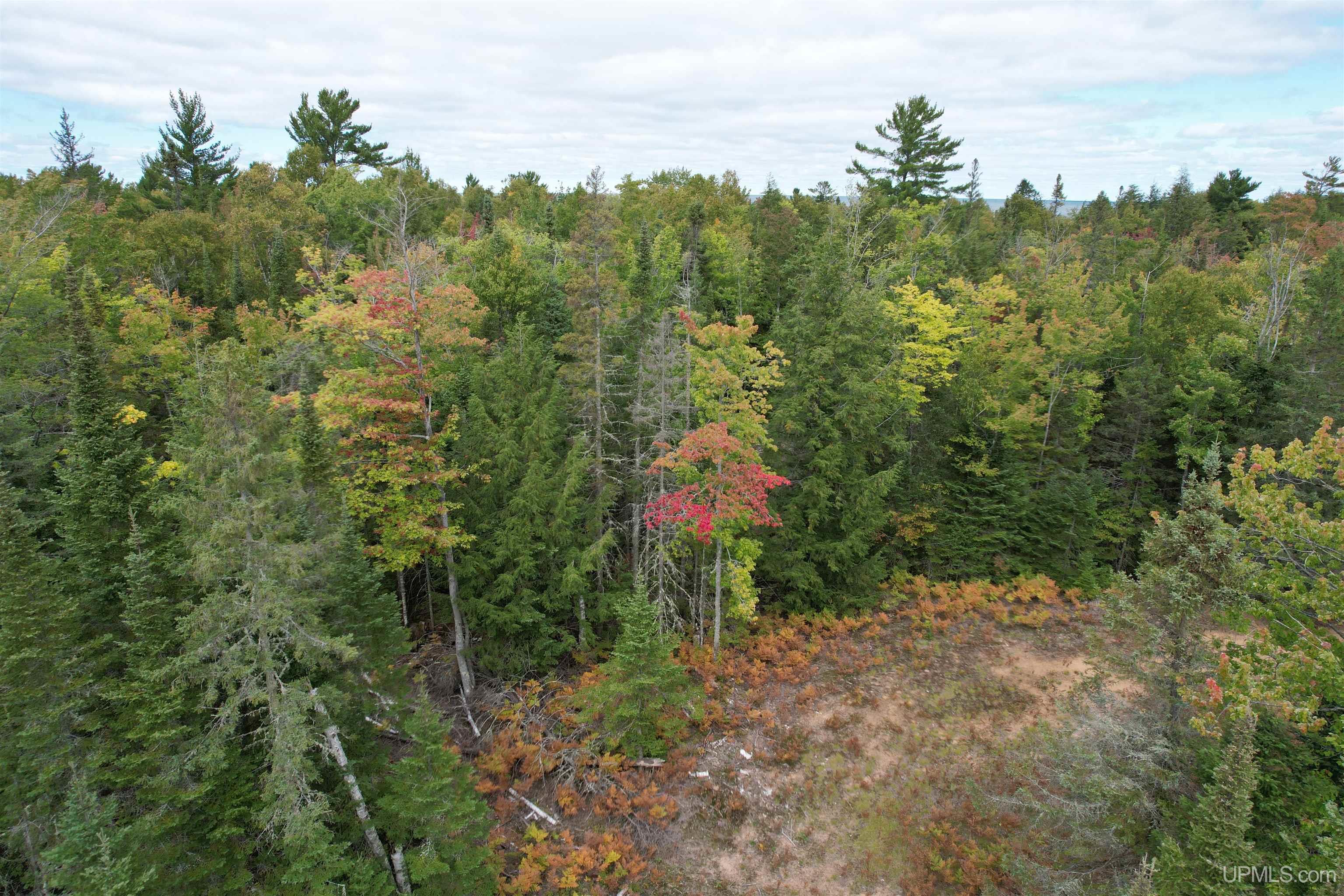 Tbd Evergreen Road Toivola, MI 49965 - Photo 22 of 62