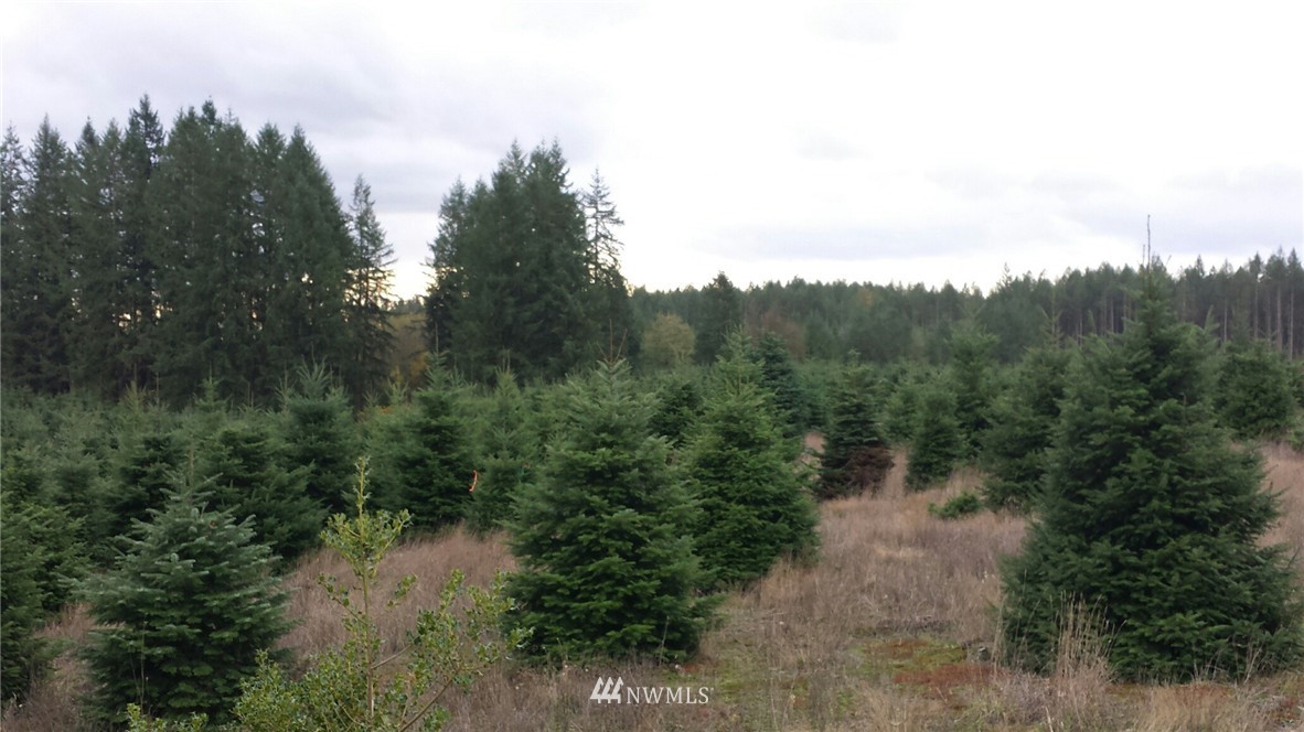 E Brim Road Onalaska, WA 98570 - Photo 2 of 12 Gallery Image 2