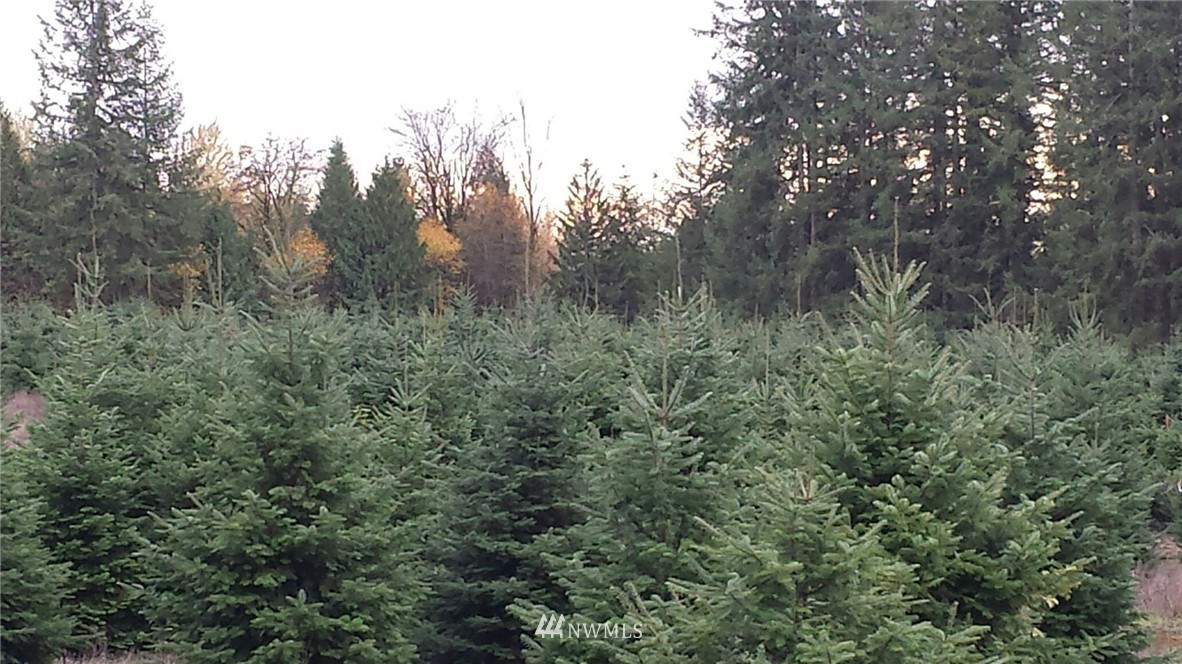 E Brim Road Onalaska, WA 98570 - Photo 11 of 12 Gallery Image 11