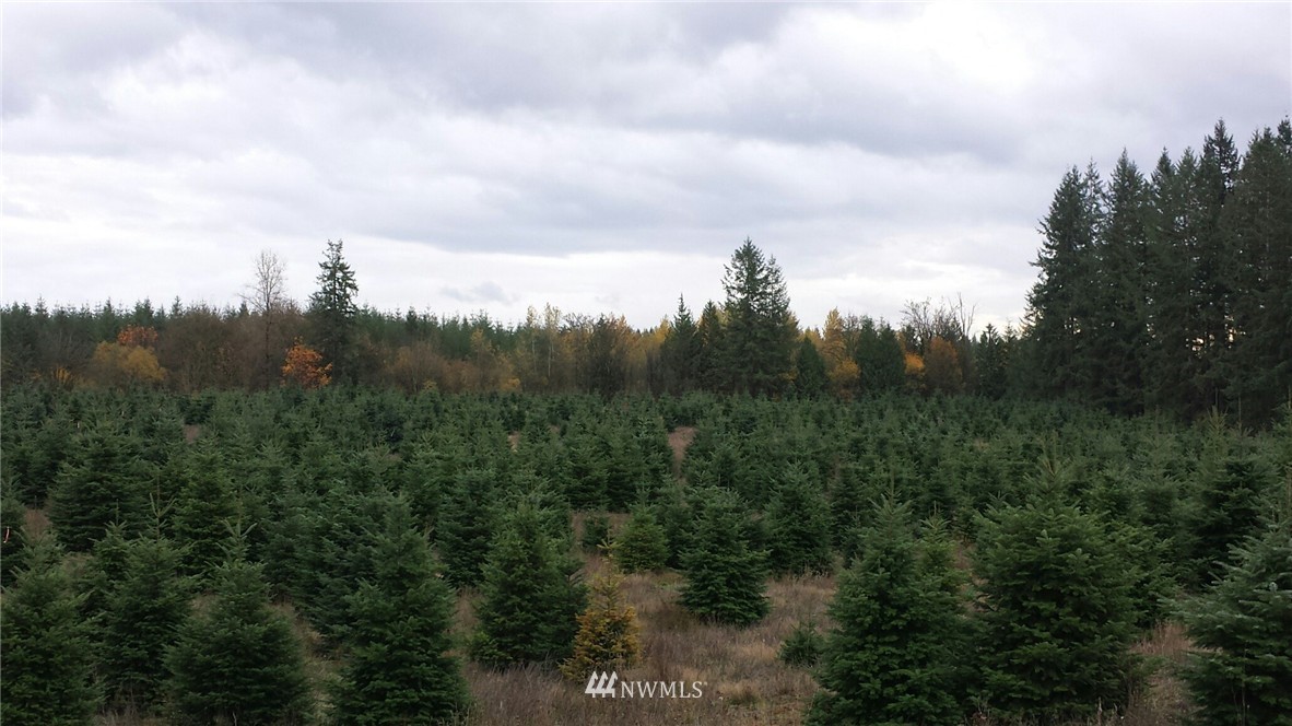 E Brim Road Onalaska, WA 98570 - Photo 3 of 12 Gallery Image 3