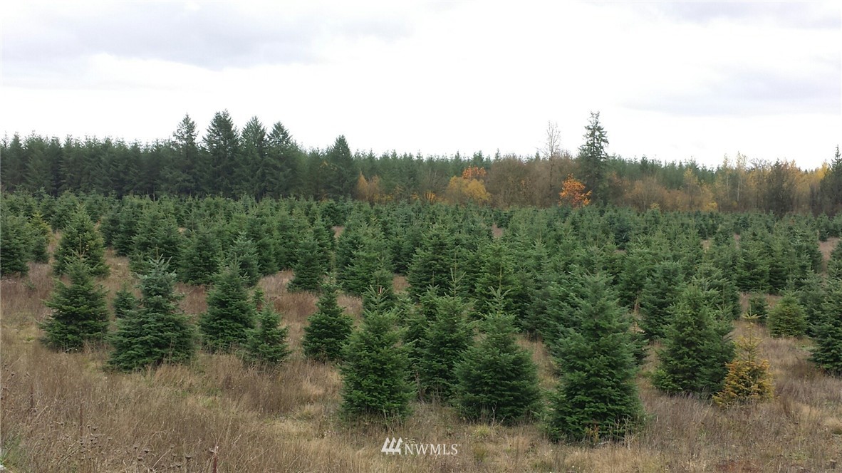 E Brim Road Onalaska, WA 98570 - Photo 4 of 12 Gallery Image 4
