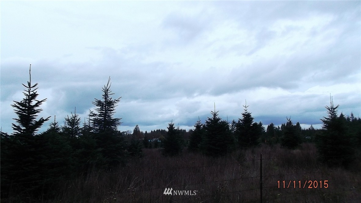 E Brim Road Onalaska, WA 98570 - Photo 10 of 12 Gallery Image 10