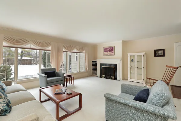 a living room with furniture a fireplace and a floor to ceiling window