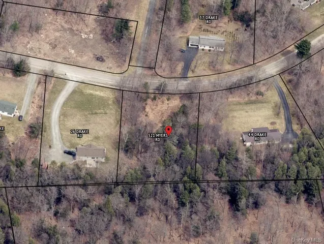 a view of a forest with trees in the background