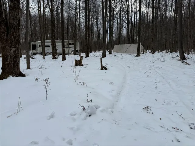 $37,900 | 16 Deer Pond Acres, Orangeville, NY 14569