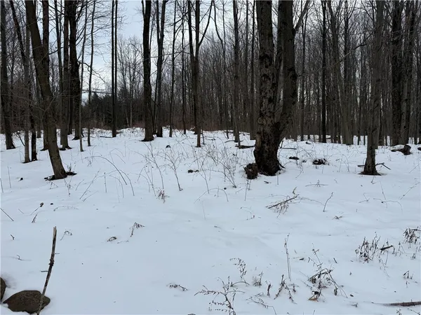 $37,900 | 16 Deer Pond Acres, Orangeville, NY 14569