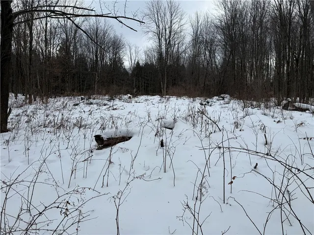 $37,900 | 16 Deer Pond Acres, Orangeville, NY 14569