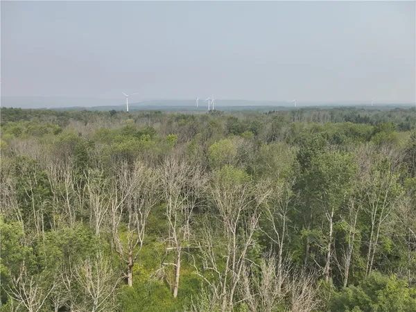 $37,900 | 16 Deer Pond Acres, Orangeville, NY 14569