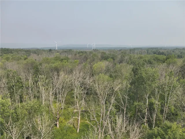 $37,900 | 16 Deer Pond Acres, Orangeville, NY 14569