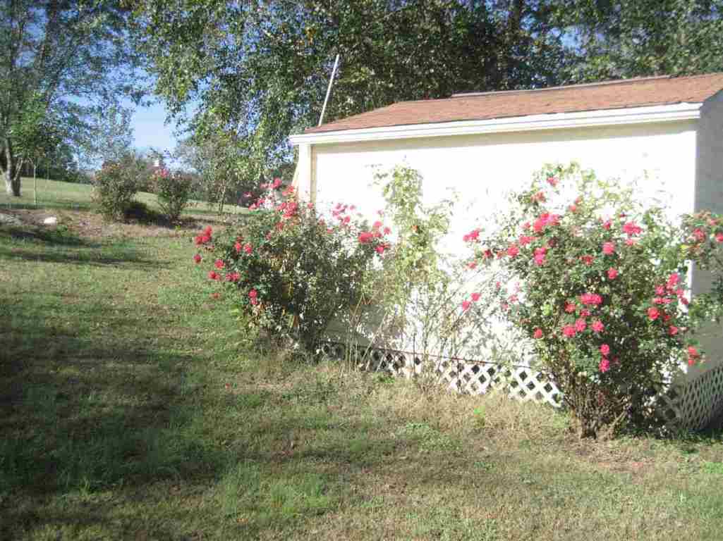 125 Snead Road Walhalla, SC 29691 - Photo 23 of 25 Gallery Image 23