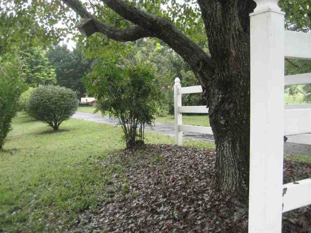 125 Snead Road Walhalla, SC 29691 - Photo 3 of 25 Gallery Image 3