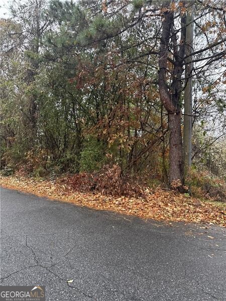 4867 Miller Road Atlanta, GA 30349 - Photo 1 of 1 View of road