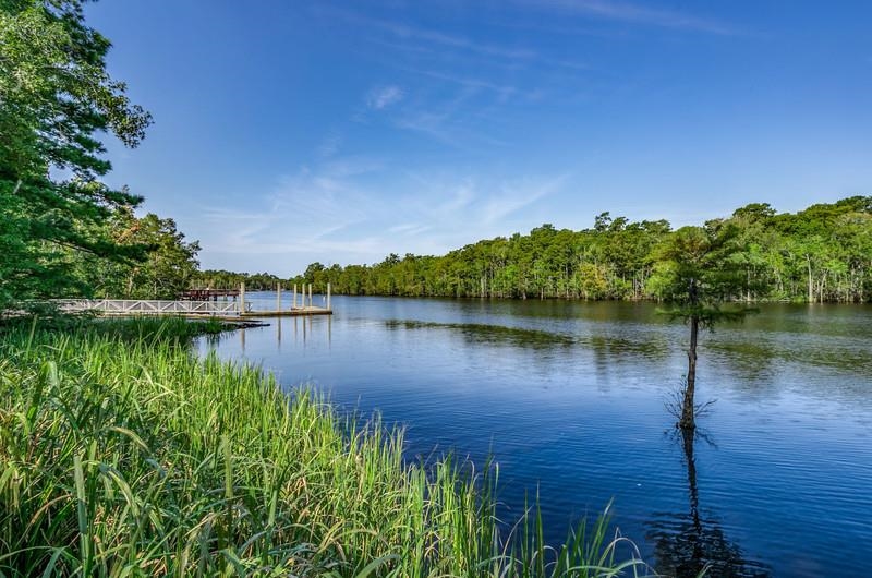 401 Rustic Court, Unit NONE Myrtle Beach, SC 29588 - Photo 40 of 41