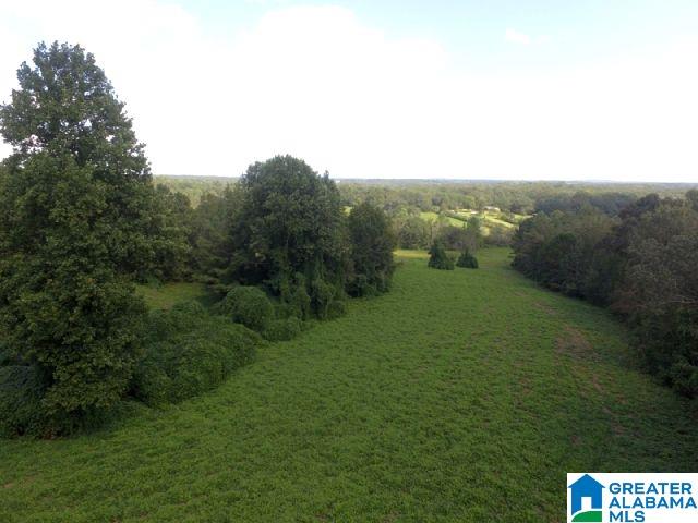 0 State Lake Road, Unit 31 ACRES Lineville, AL 36266 - Photo 2 of 15