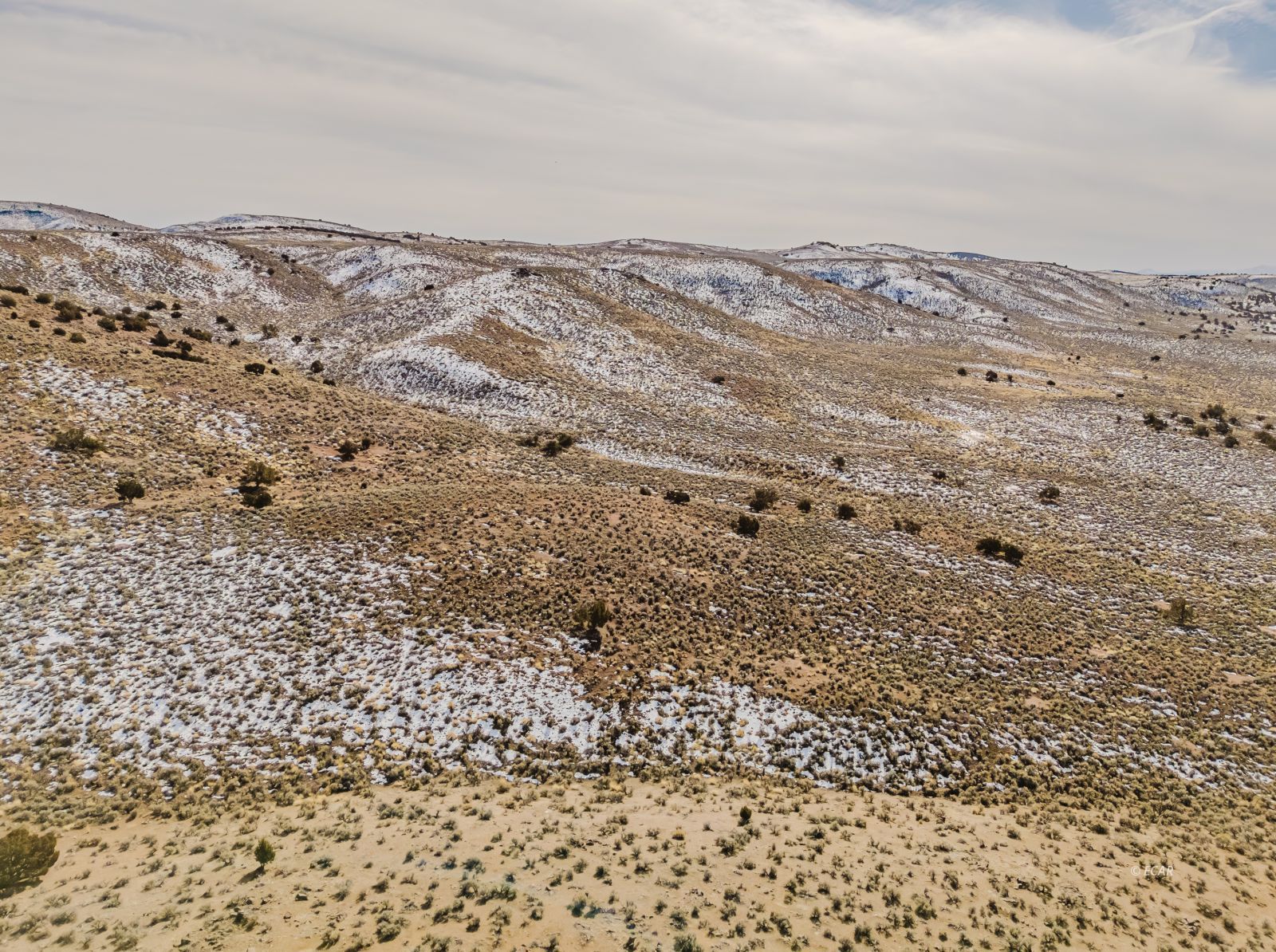 Hamilton Creek Trail Elko, NV 89801 - Photo 5 of 39