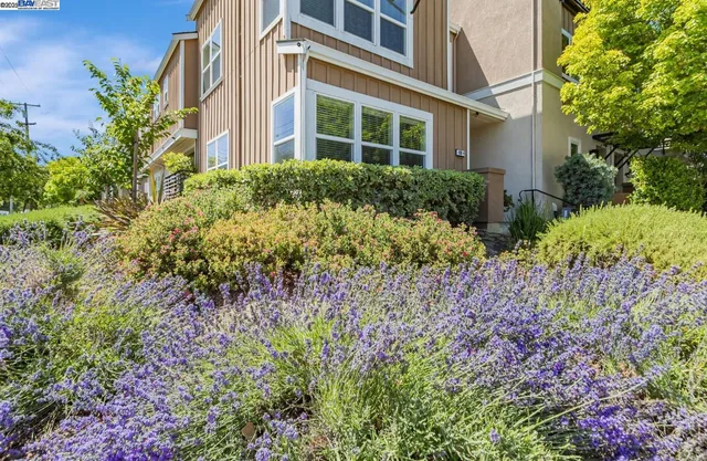 $1,248,800 | 705 Cannery Place, San Jose, CA 95112