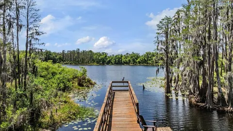 $400,000 | 14229 Damselfly Drive, Tampa, FL 33625