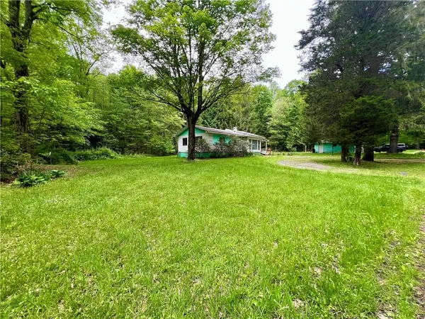 a view of a lush green space