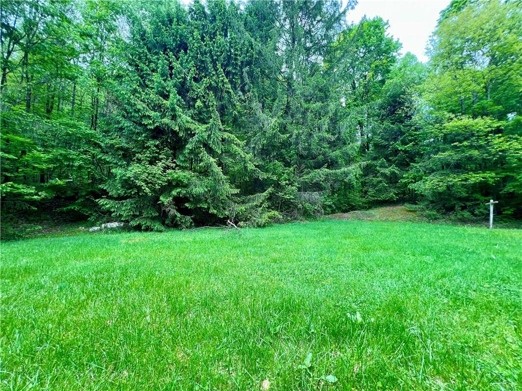 192 Hawkins Hollow Road Connellsville, PA 15425 - Photo 4 of 16 a view of a lush green space