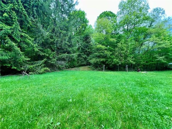 a garden view