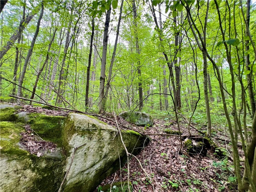 192 Hawkins Hollow Road Connellsville, PA 15425 - Photo 6 of 16 a garden view