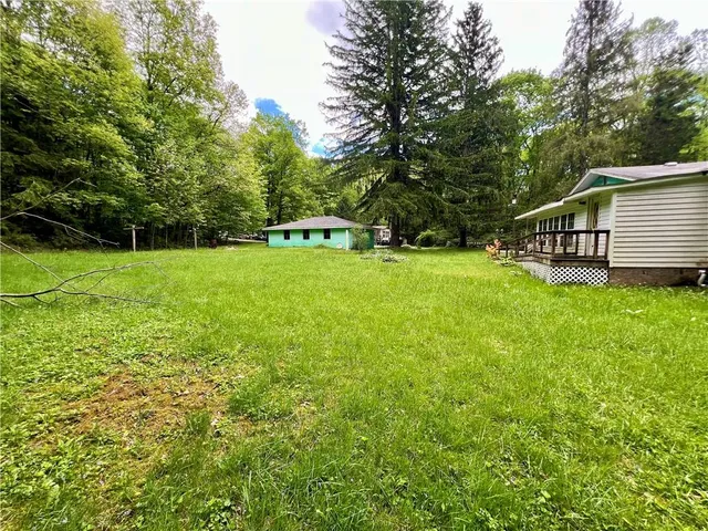 a view of outdoor space and trees