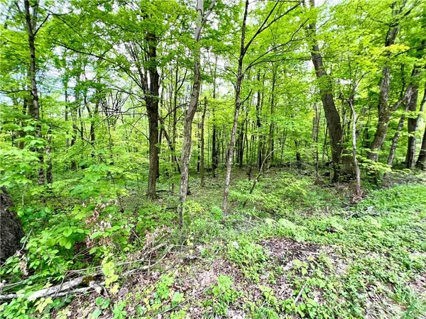 a view of outdoor space